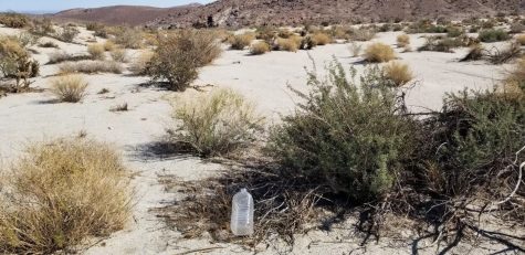 A Journey Through the Desert and Back to My Childhood