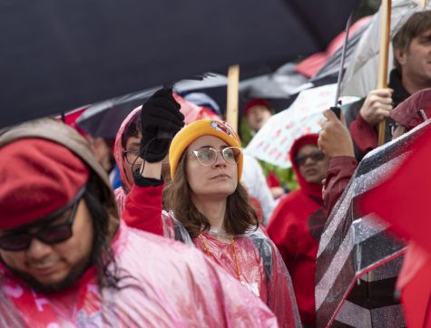 Teachers Strike for Students