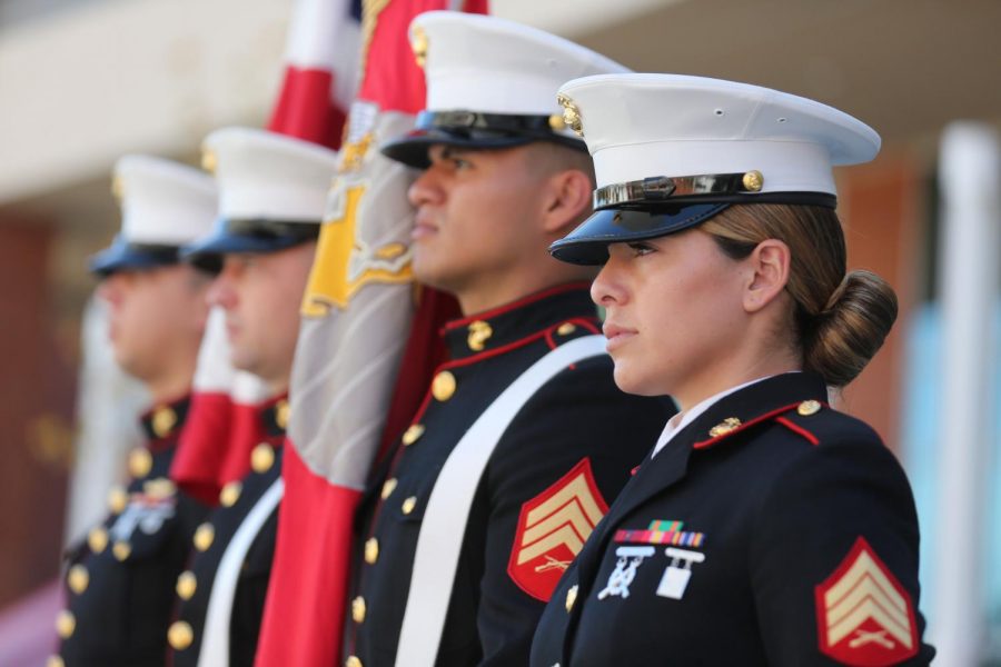 Veterans aligned as they look out towards the horizon