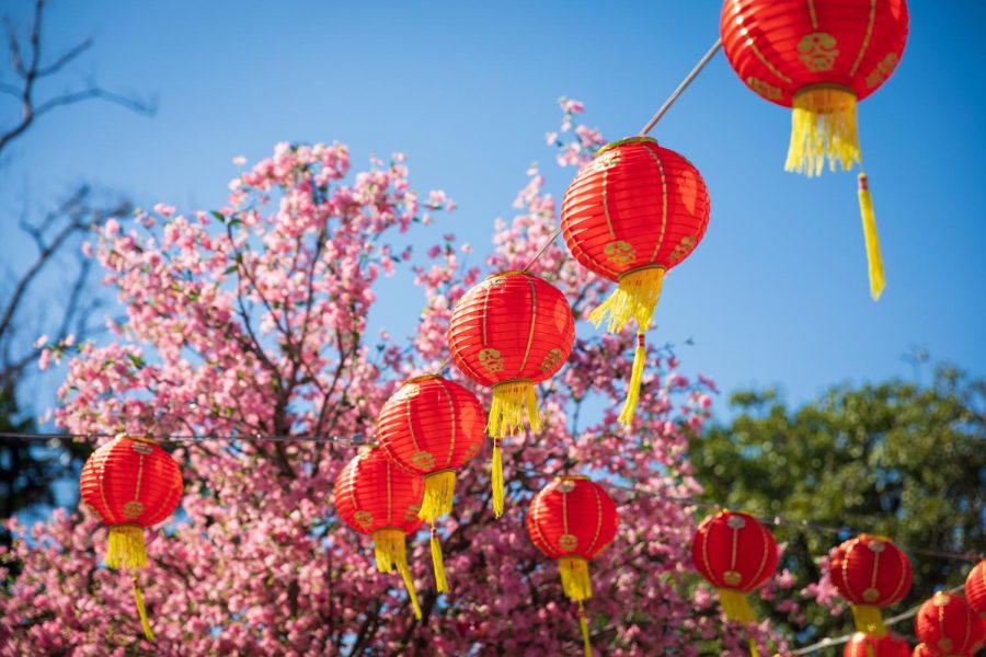 red lanterns hanging in front of a tree with pink blossoms