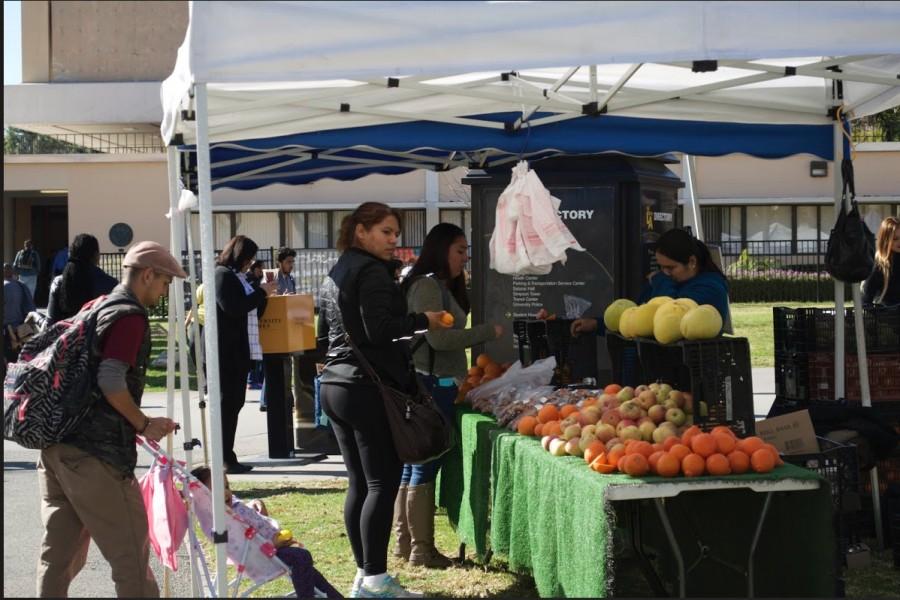 A+stand+with+vegetables+under+an+awning+and+women+standing+in+front+of+the+table.