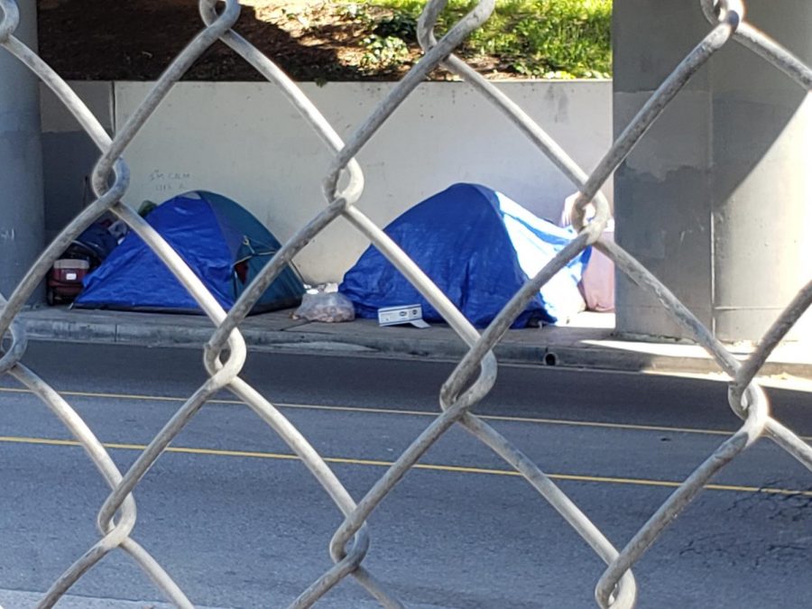 Tents are pitched across the street from a park in Eagle Rock. Photo by Christopher Lazaro