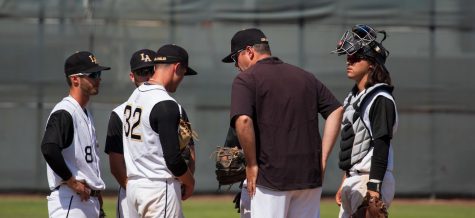 Golden Eagles Drowned Out By Seawolves
