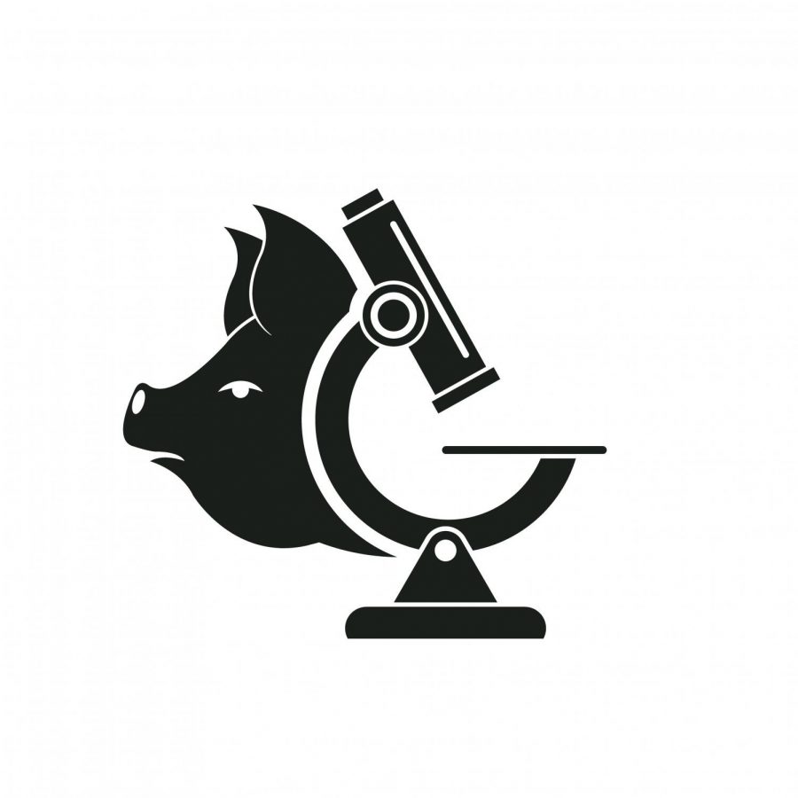 Pig wishing a google sign and a microscope, logo.