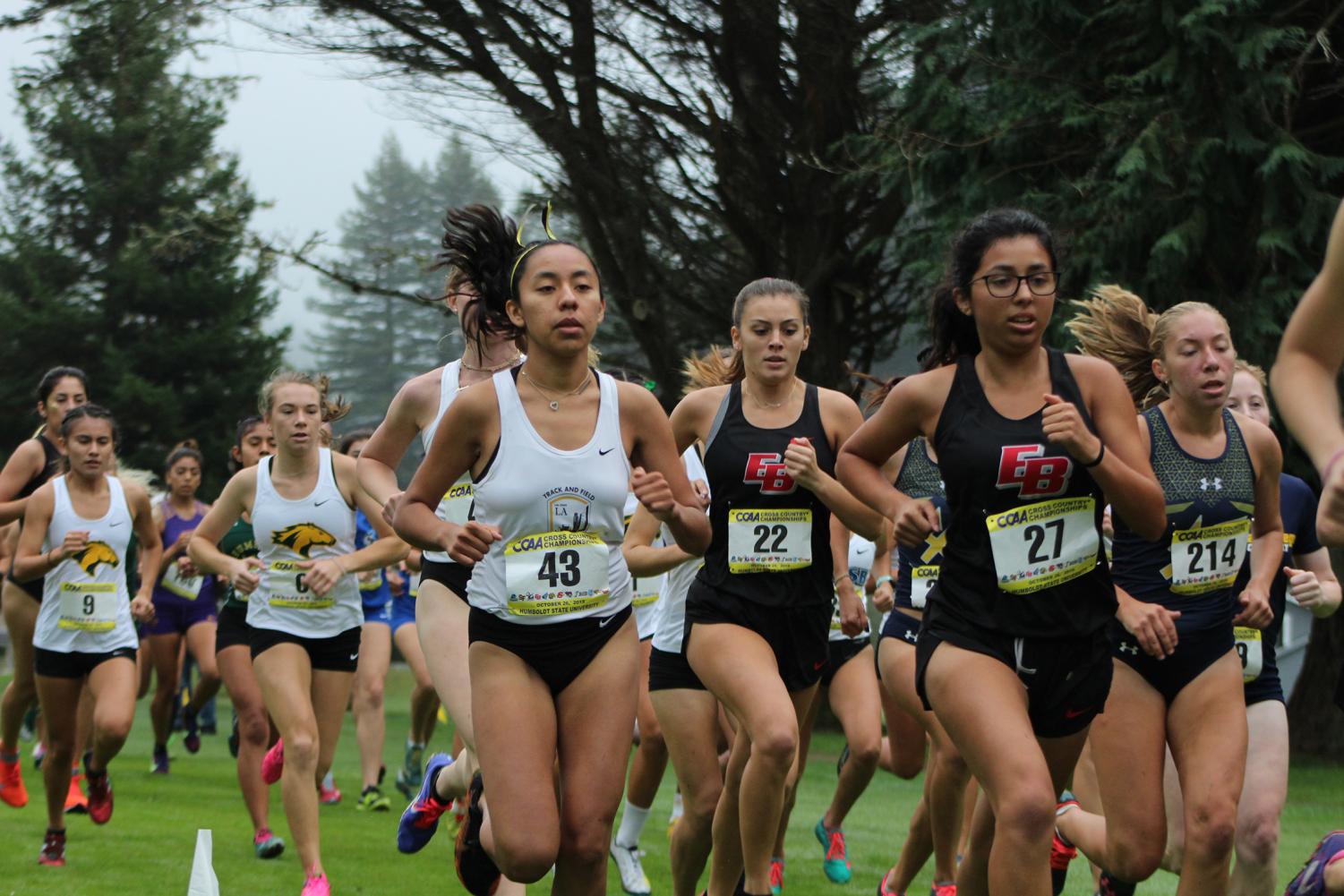 Cal State LA Cross Country CCAA Championships Recap University Times