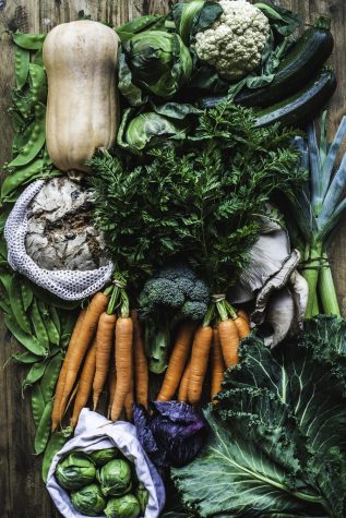 We Need an Edible Garden on Campus