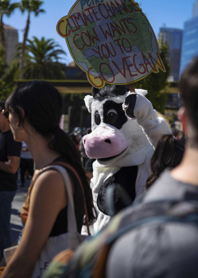 One of many costume wearing protestors participating in the most recent climate strike march around Downtown Los Angeles this past Friday.