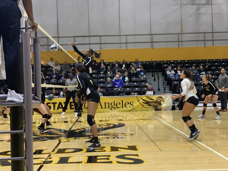 Daisy Crenshaw (6) reaches out and hits the ball over the net.