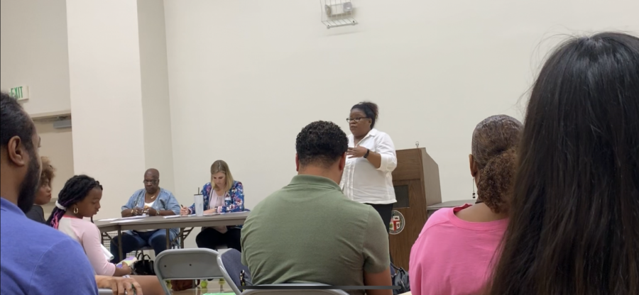 Kathy Guyton advocating for the creation of Cannabis Comittees, at a Recent South LA Alliance of Neighborhood Councils Meeting.