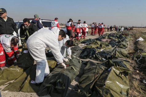 Forensic investigators and rescue workers arrive at the Ukranian plane crash to inspect the bodies.