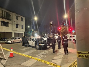 Police officers near a police car at night