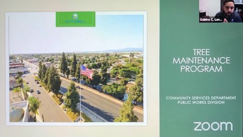 A slide with a picture of the city, a flagpole and trees and a Zoom image of a man speaking in the corner