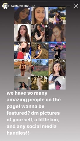 screenshot of an instagram story post