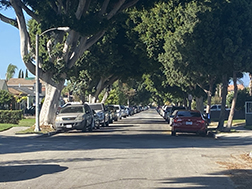 South Gate: Where the lights are as almost as old the city itself