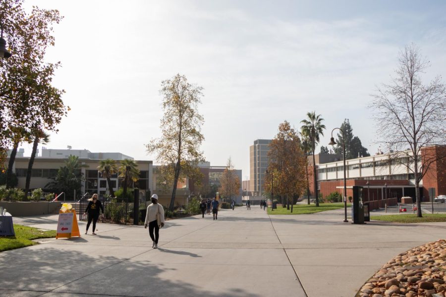 Main walkway on campus some students are pictured walking.