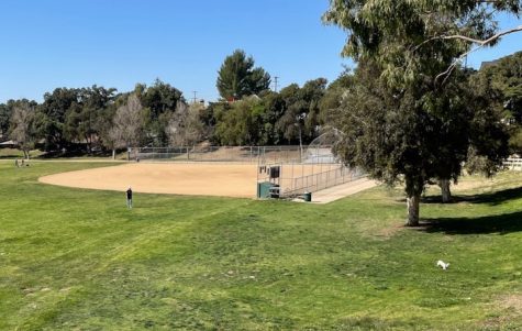 A wide shot of the ball park where a couple of people are playing with their dogs.