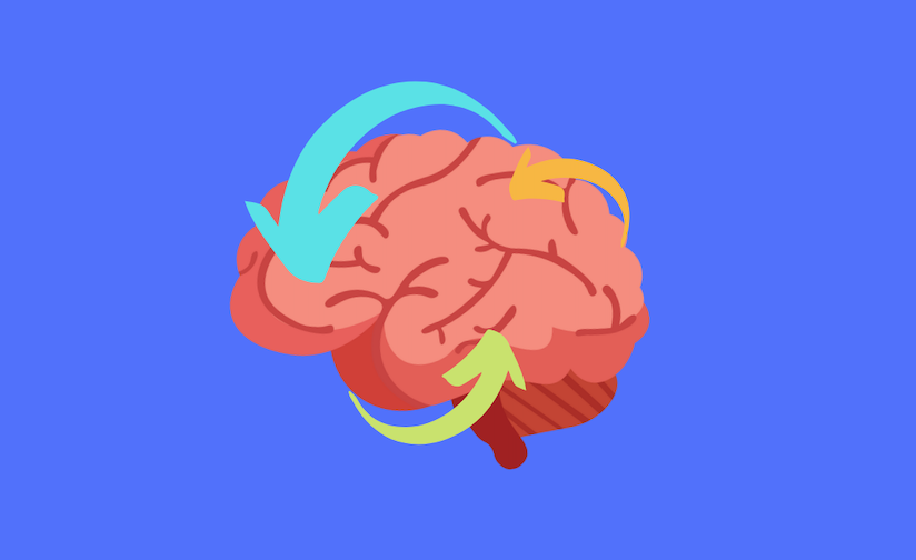 a graphic of a brain with arrows flowing around it.