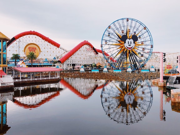 Rides like a ferris wheel and rollercoaster reflected in water at Disneyland.