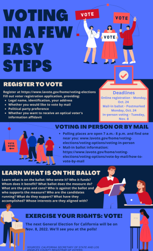 What first-time voters should know about the process – University Times