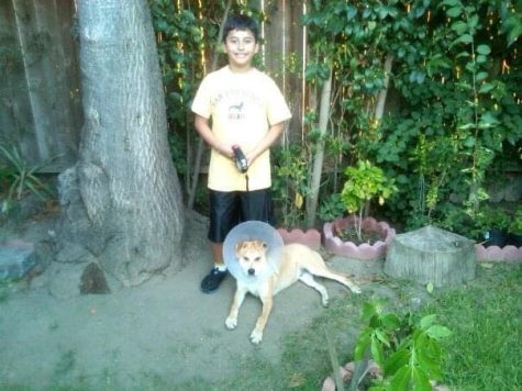 Andres and his dog Hunter on the first day Hunter got brought home.