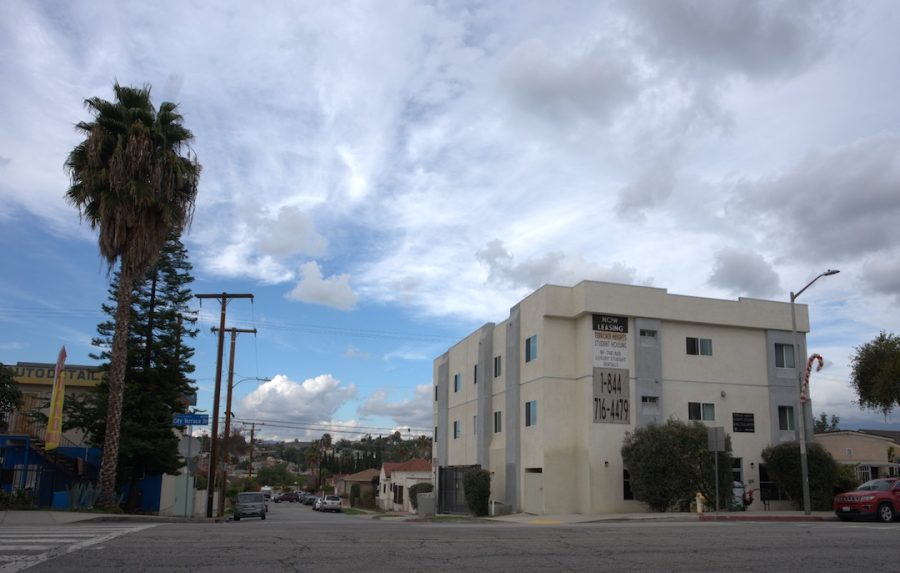 tree and power lines on left and white apartment building on right at daytime