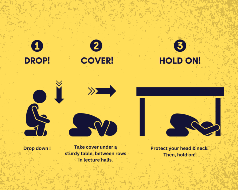 According to Shakeout.org, being prepared for an earthquake requires the ability to react and remain calm to protect yourself and those around you. For anyone using a walker, or wheelchair, it is suggested to lock your brakes, cover your neck and head with your arms, and to hold on. Graphic by Will Baker.