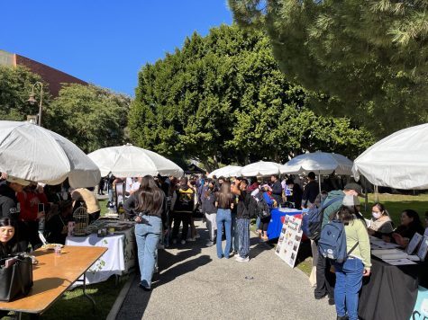 City of Orgs hosted a wide variety of student clubs and organizations. Photo by Erik Adams.