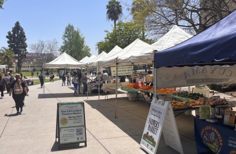 Every Wednesday, the main walkway on campus is full of vendors providing fresh and local produce that can be purchased with Cal Fresh. Photo by Will Baker.