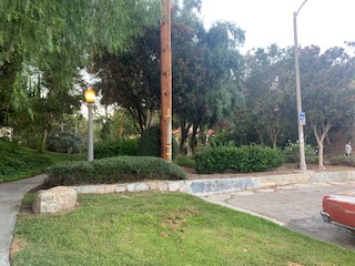 A high curb, grass and trees