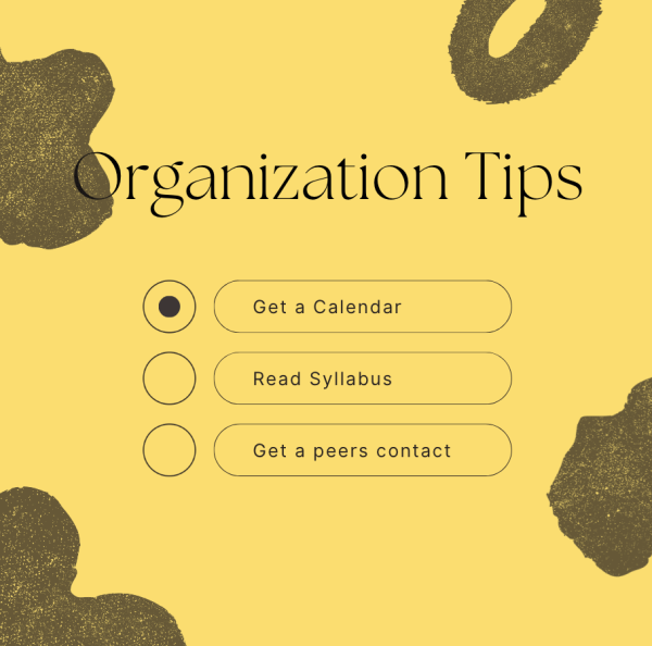 Organization Tip Graphic by Canva.