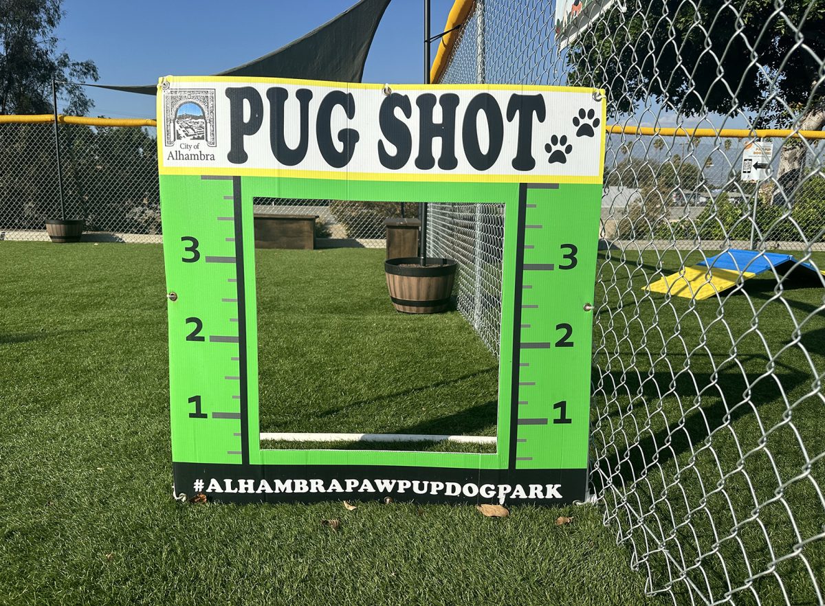 A display for dogs to take pictures in. Photo by Sasha Funes