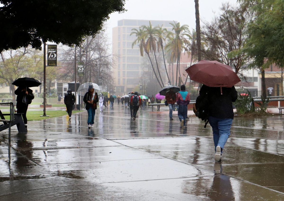 Rain on Cal State LAs campus. 