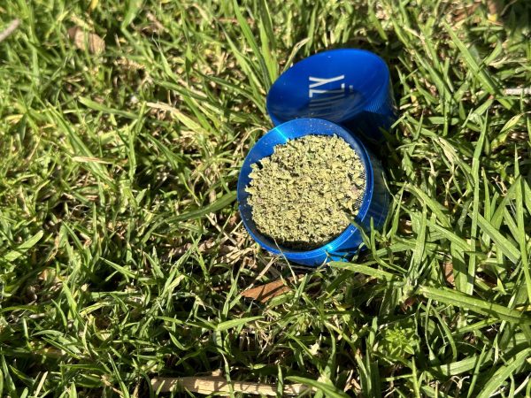 Ground marijuana bud inside of a marijuana grinder, sitting on top of grass.