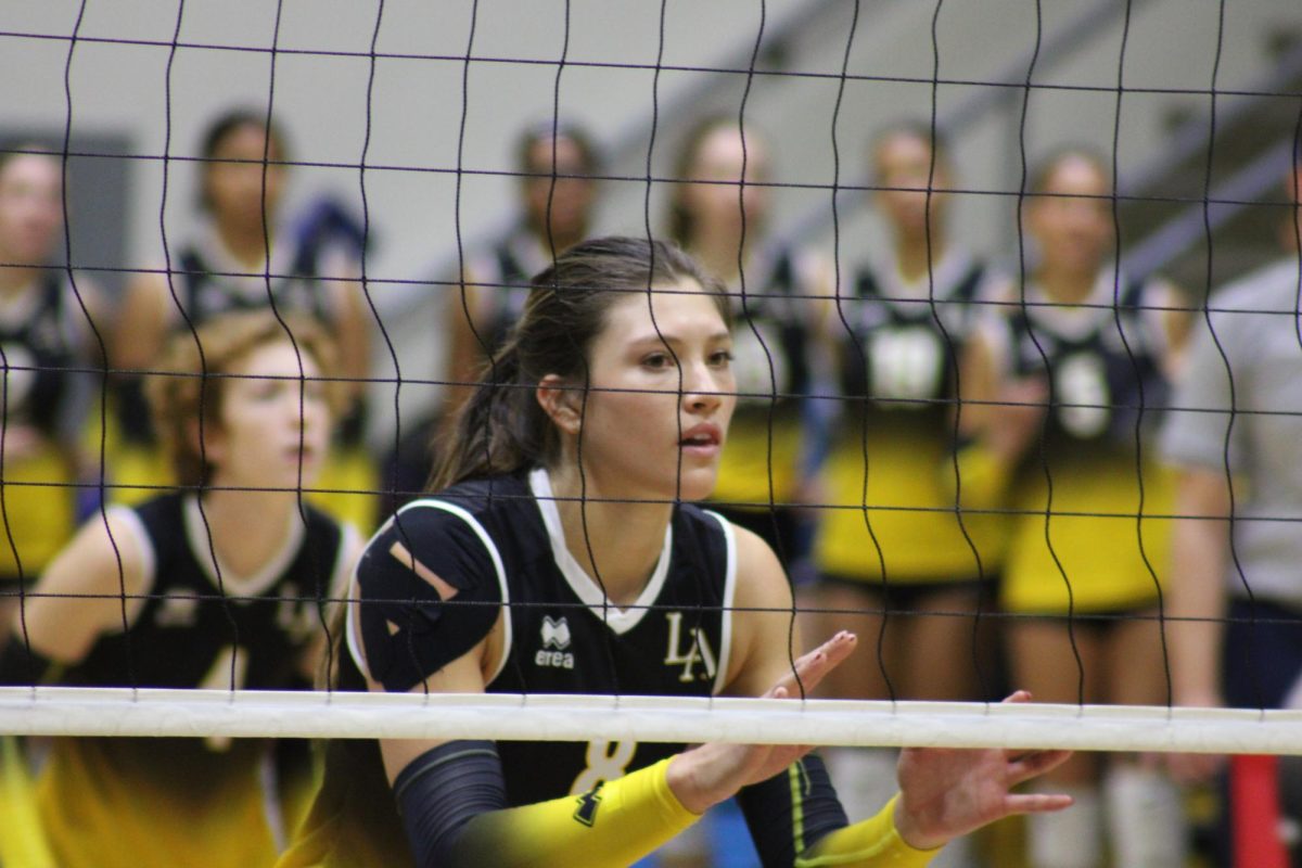 Emily Elliott stands in anticipation for the serve from Cal State Monterey Bay during the game on Saturday, Nov. 2 at University Gym. The Golden Eagles won 3-1.