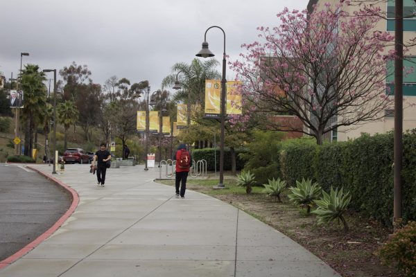 Cal State LA is one of the 23 CSU campuses that will utilize AI programs to prepare students for higher education and the workforce. (file photo)