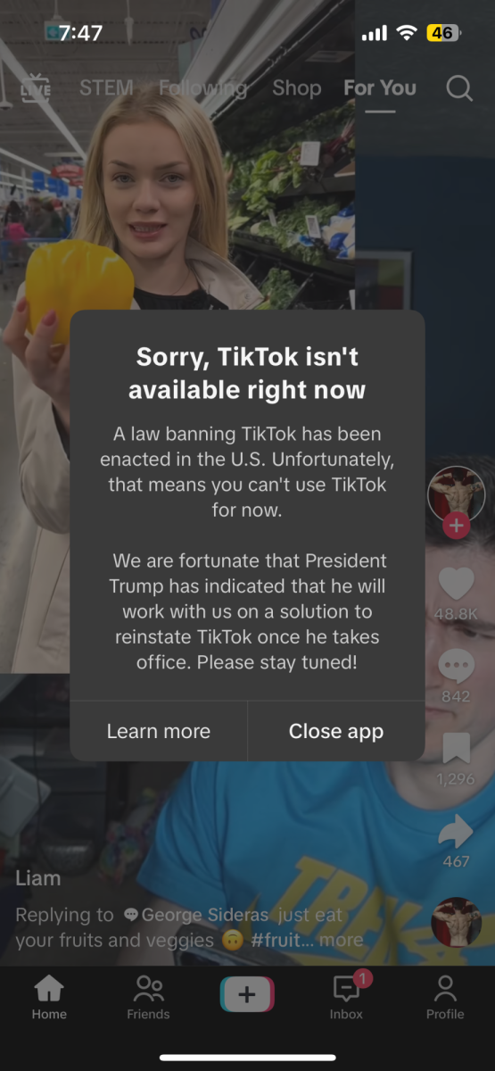 The message TikTok users were met with during the 12 hours it was down on Jan. 18, 2025.